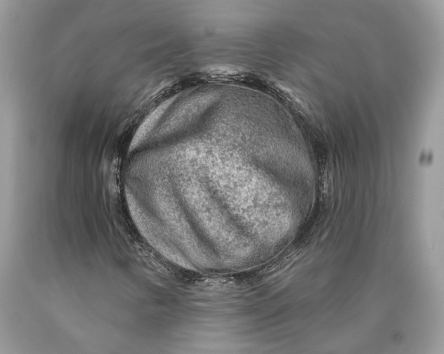 X0000089911346200707201747