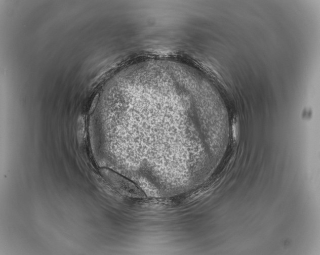 X0000089911347200707201747