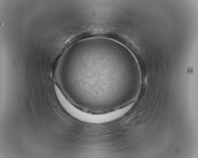 X0000089911348200707201747