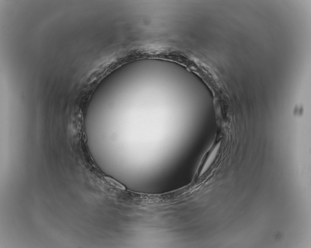 X0000089911349200707201747