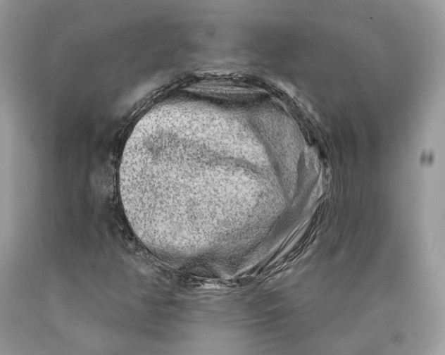X0000089911350200707201747