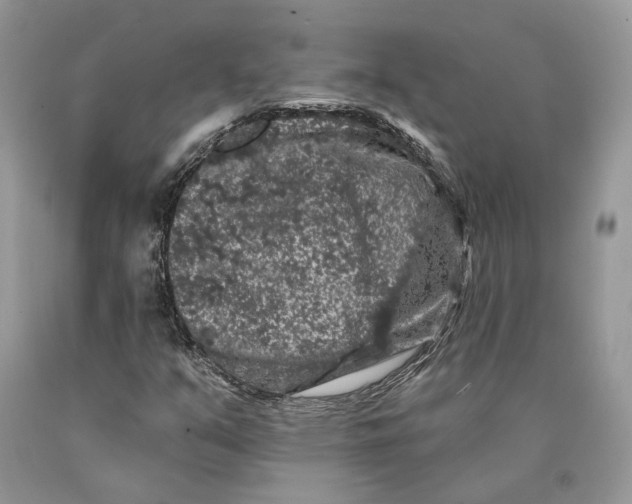 X0000089911351200707201747