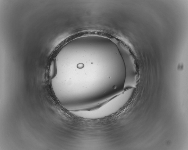 X0000089911352200707201747