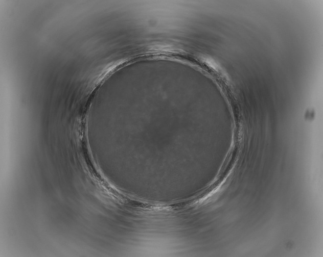 X0000089911353200707201747