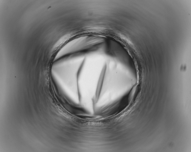 X0000089911354200707201747