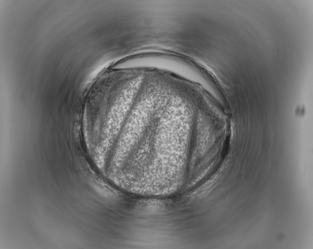 X0000089911355200707201747