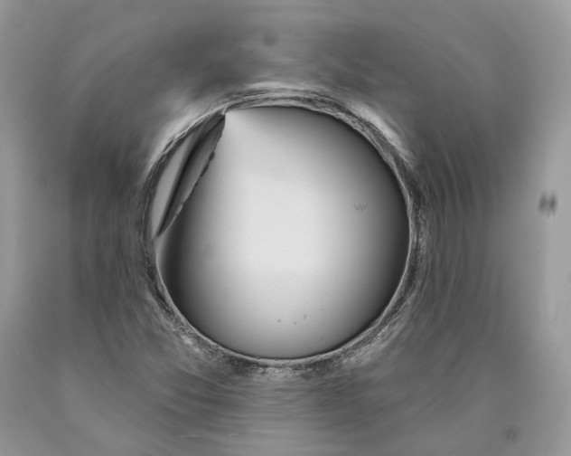 X0000089911357200707201746