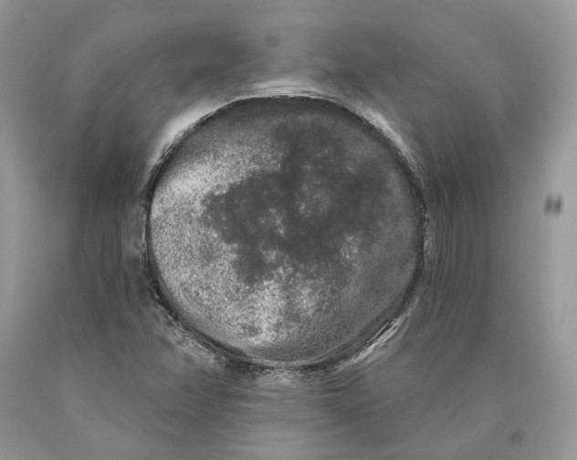 X0000089911358200707201746