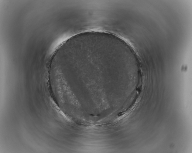 X0000089911359200707201746