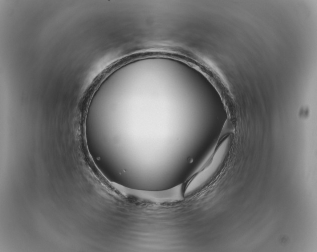 X0000089911360200707201746
