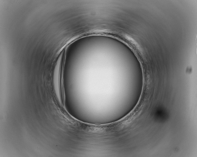 X0000089911361200707201746