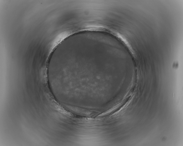 X0000089911362200707201746