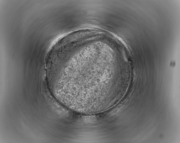 X0000089911363200707201746