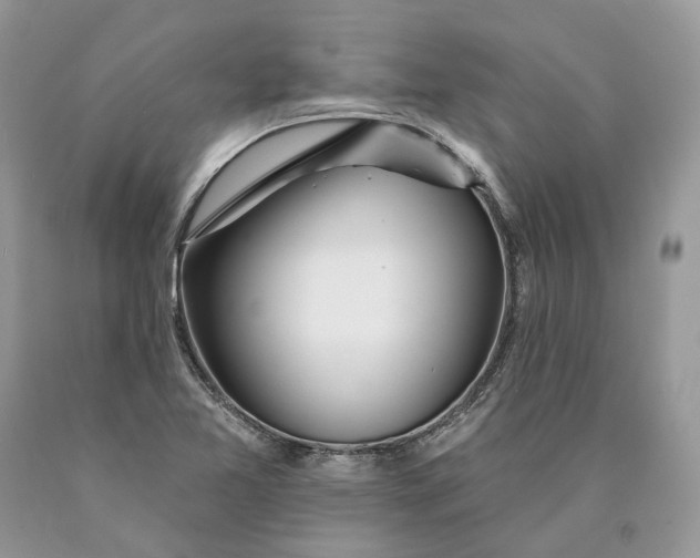 X0000089911365200707201746