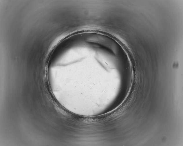 X0000089911366200707201746