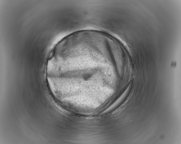 X0000089911367200707201746