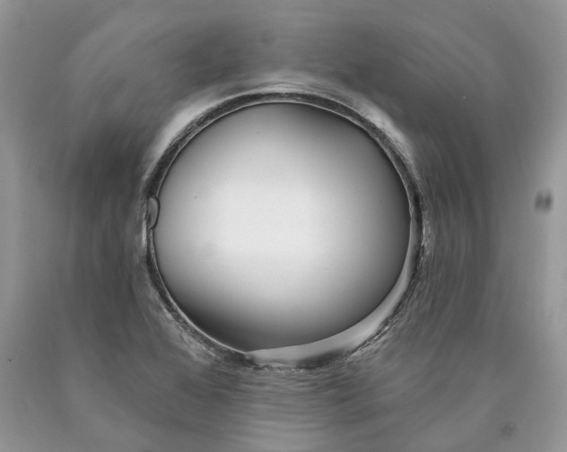 X0000089911368200707201746