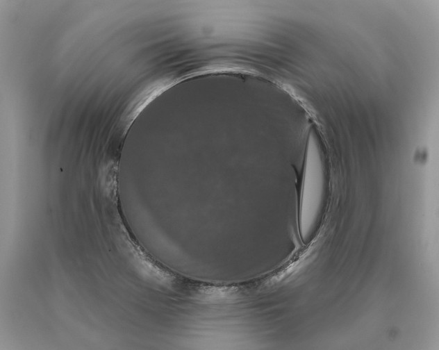 X0000089911369200707201746