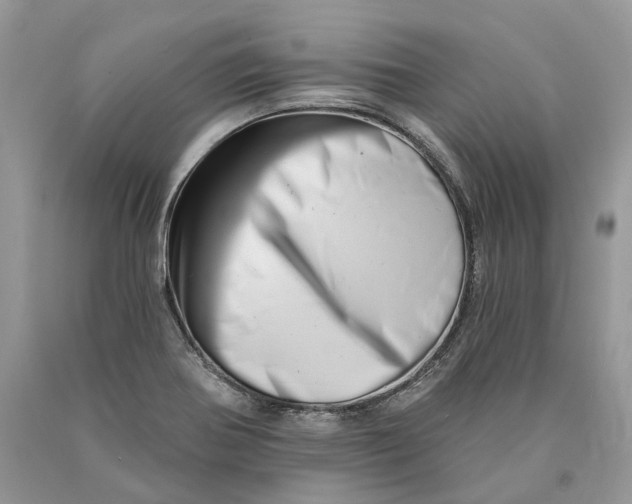X0000089911370200707201746
