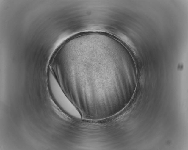 X0000089911372200707201746