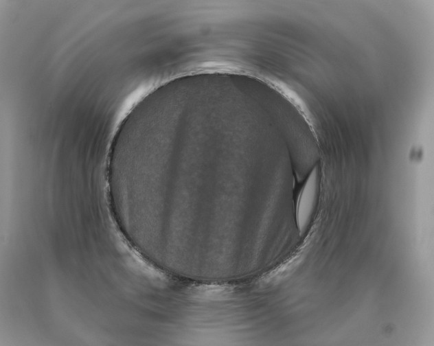 X0000089911373200707201746