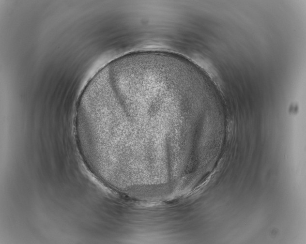 X0000089911374200707201746