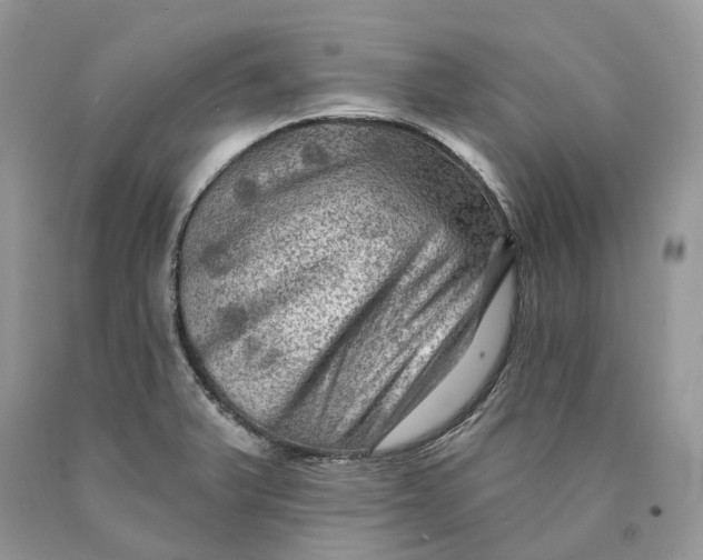 X0000089911375200707201746