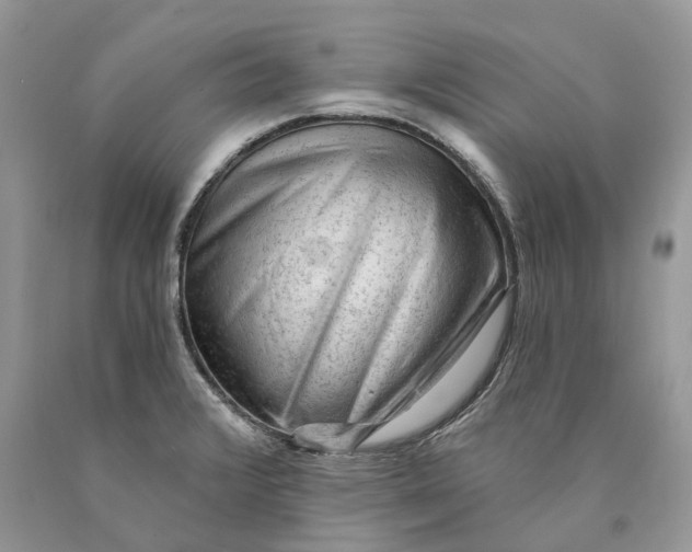 X0000089911376200707201746