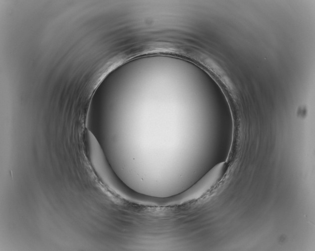 X0000089911377200707201746
