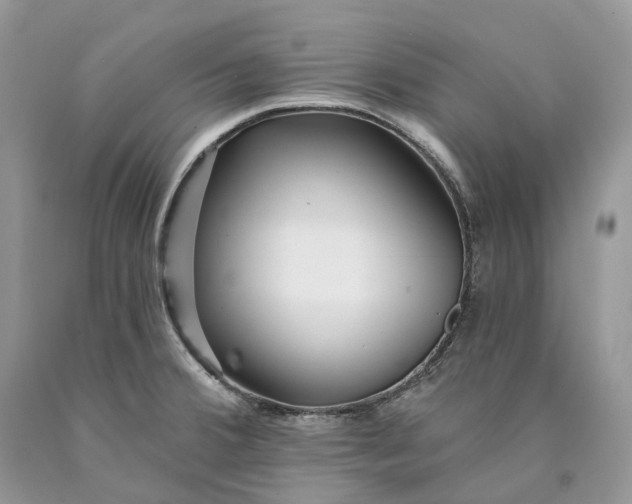 X0000089911380200707201746
