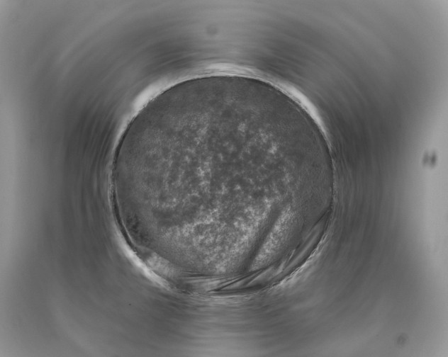X0000089911381200707201746
