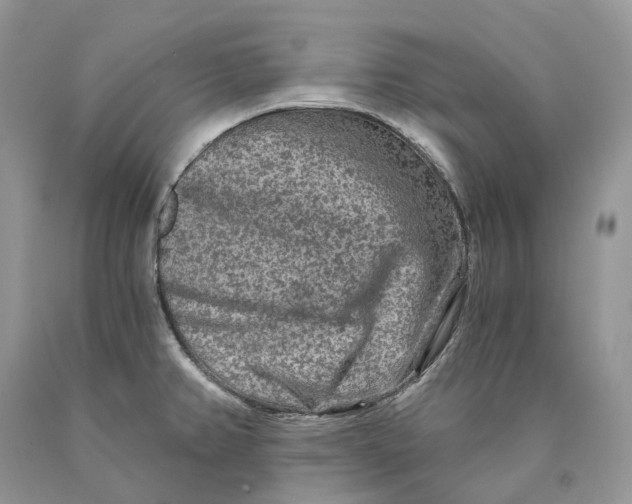 X0000089911382200707201746