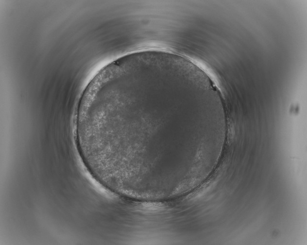 X0000089911383200707201746