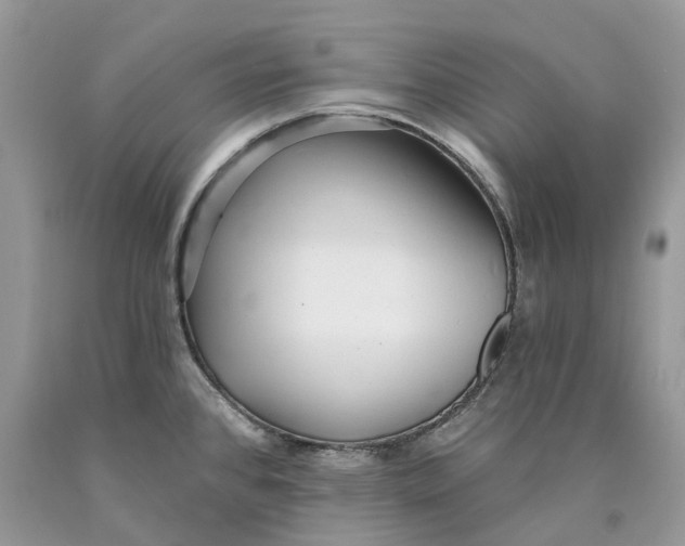 X0000089911384200707201746