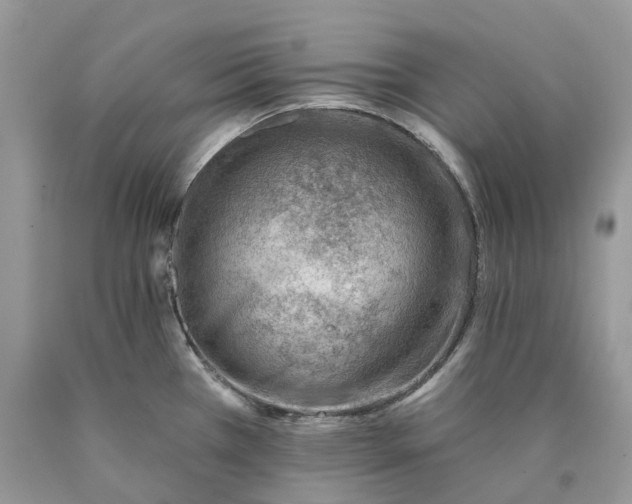 X0000089911385200707201746