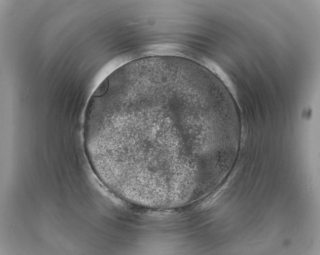 X0000089911386200707201746