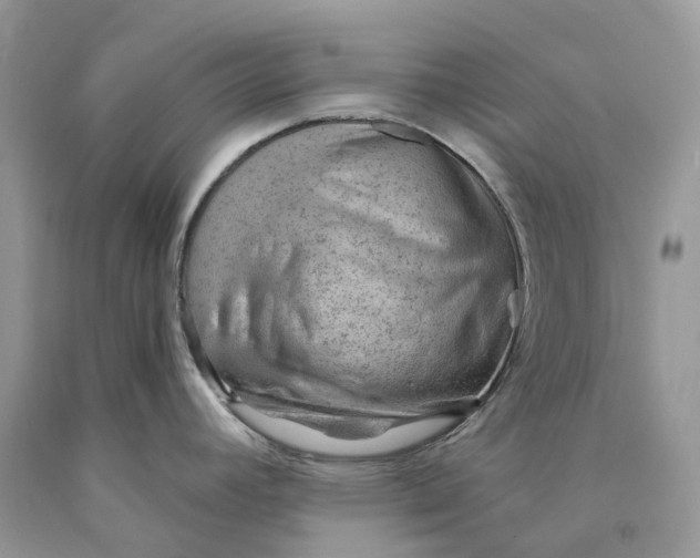 X0000089911392200707201746
