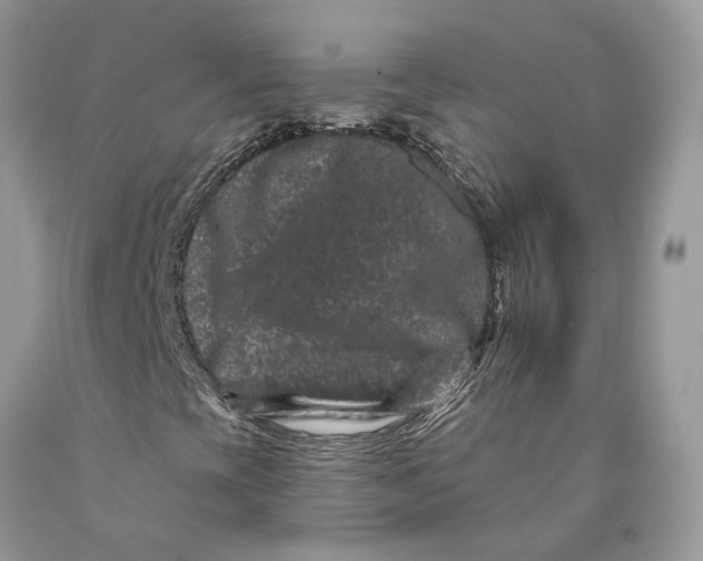 X0000089911393200707201745