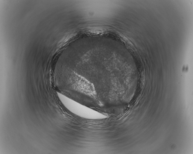 X0000089911394200707201745