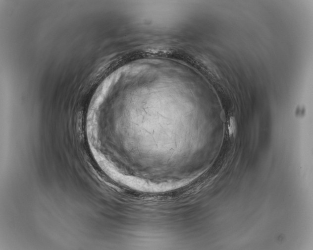 X0000089911396200707201745