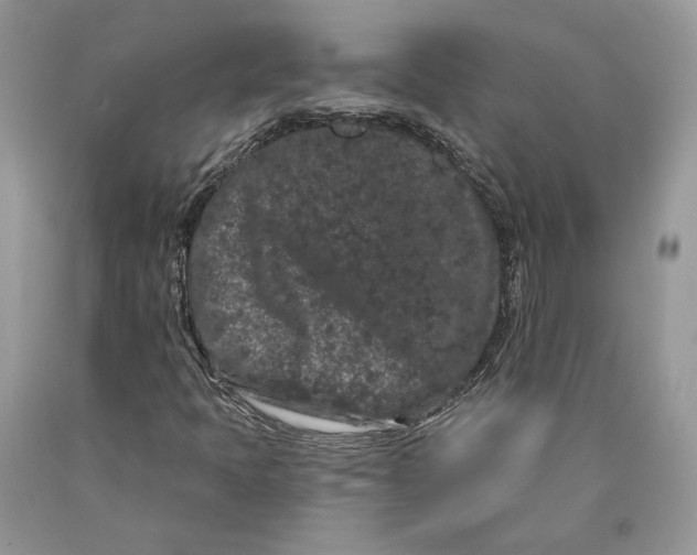 X0000089911397200707201745