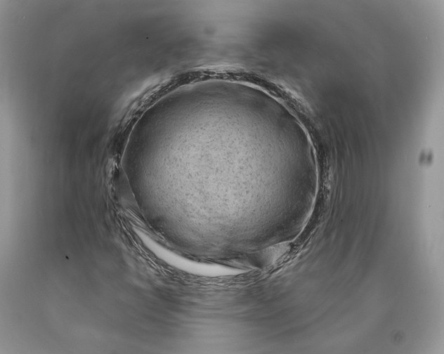 X0000089911398200707201745