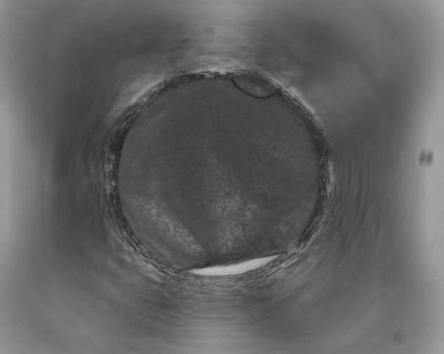 X0000089911399200707201745
