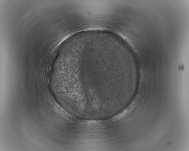 X0000089911401200707201745