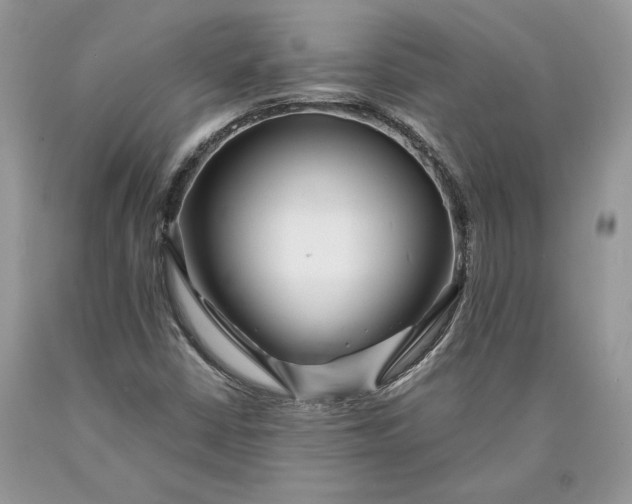 X0000089911402200707201745