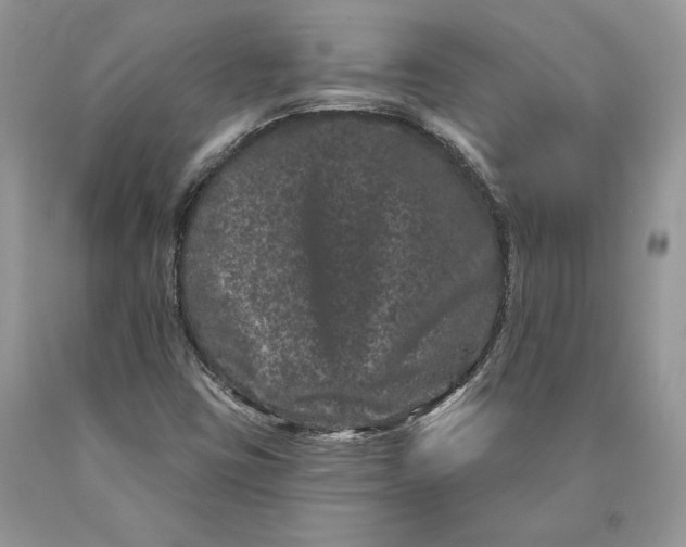X0000089911403200707201745