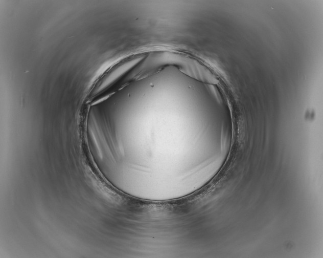 X0000089911404200707201745