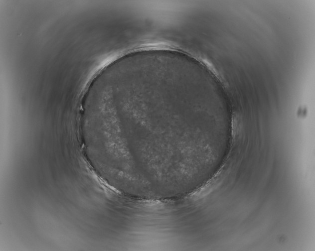 X0000089911405200707201745
