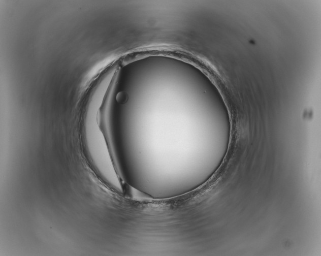 X0000089911406200707201745