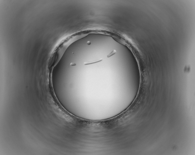 X0000089911408200707201745